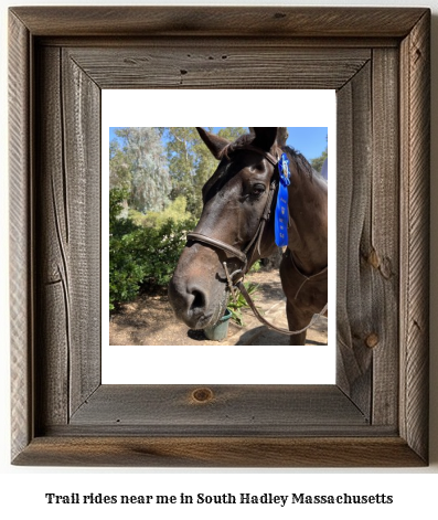 trail rides near me in South Hadley, Massachusetts